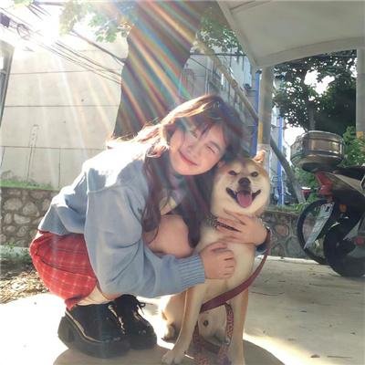 母猫